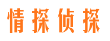 大厂侦探公司